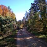 311311182 5588801877873043 8375849681142373003 n 60b90c25