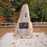 311438990 5588802217873009 3514904655044199787 n 32c7d15e