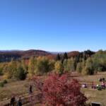 311448553 5588801951206369 2089309418068255908 n 16f32d7a