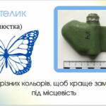 332140532 734395214919922 7081085364091249320 n