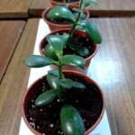 332353005 1418956958643752 1638667077956225646 n