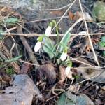 Прогулянка до курортного парку 4 331514991 903795720887395 4832346746848059801 n