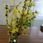 333789501 698580115282592 3809825348431045763 n