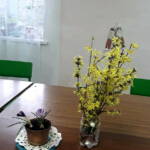 333958334 496883162653086 3632982721020851683 n