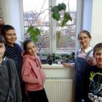 Прогулянка до курортного парку 5 334517438 159579993591091 8765128475633421525 n