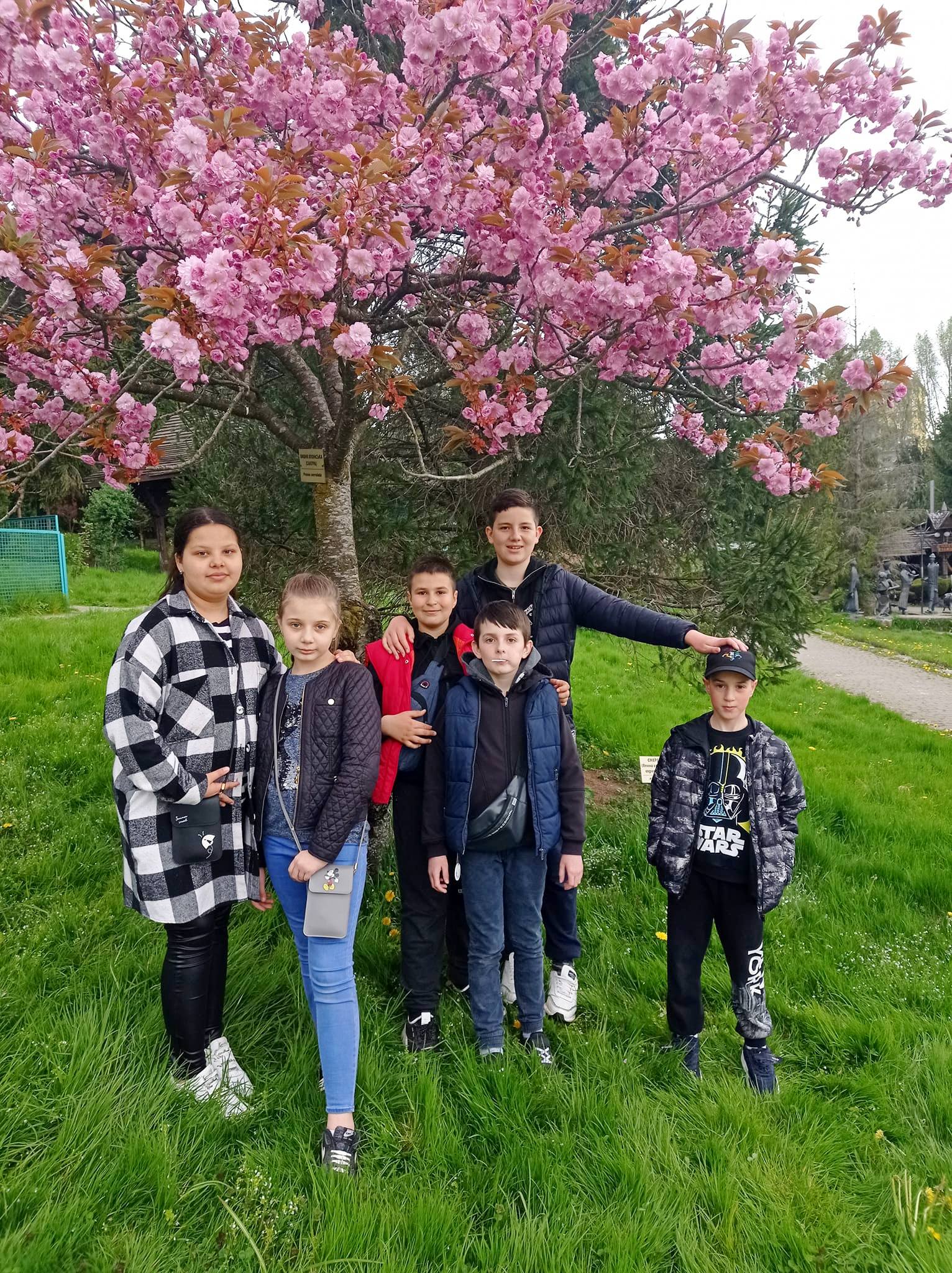 344573624 744537820493760 7396945128037049654 n 1