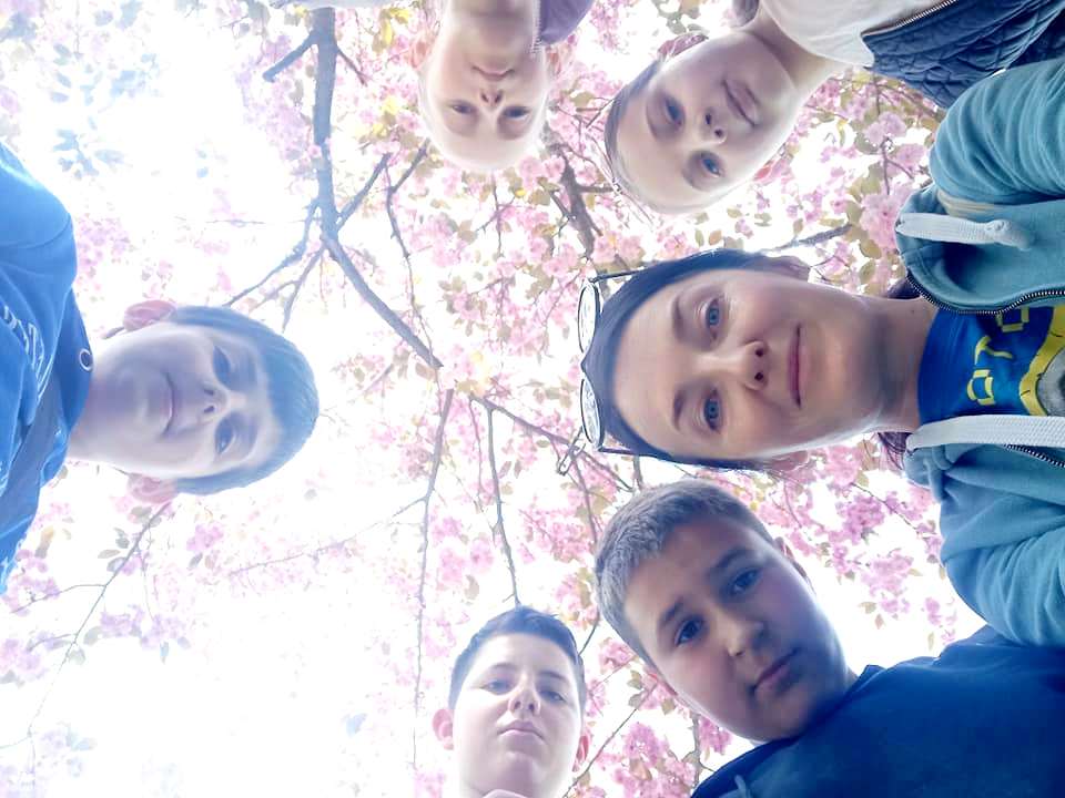 Підготовка природних матеріалів для творчого заняття 1 344761777 945965196713602 4380240065104196022 n