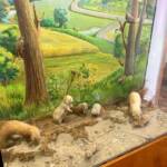 345416752 1930795227301126 2835453175654602373 n