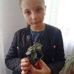 Вихованець гуртка "Зелена лабораторія" посадив свою маленьку ризомку ахіменеса ☺️ 4 345595984 274409538345894 931209963401318054 n