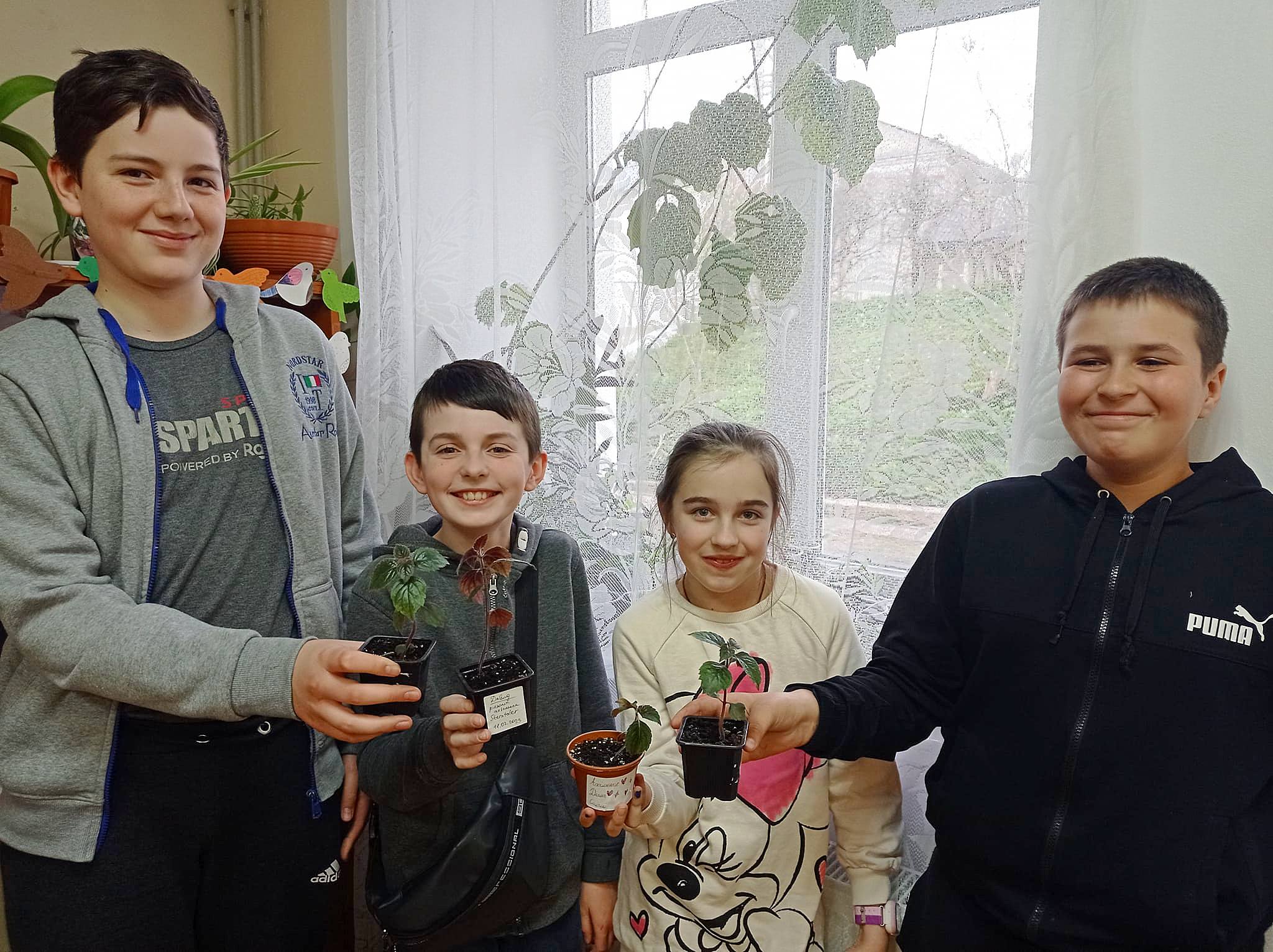 Вихованець гуртка "Зелена лабораторія" посадив свою маленьку ризомку ахіменеса ☺️ 1 346267909 248048054547477 8884250919489282397 n