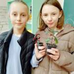 Вихованець гуртка "Зелена лабораторія" посадив свою маленьку ризомку ахіменеса ☺️ 6 346277862 190645467229035 3682889579188480973 n