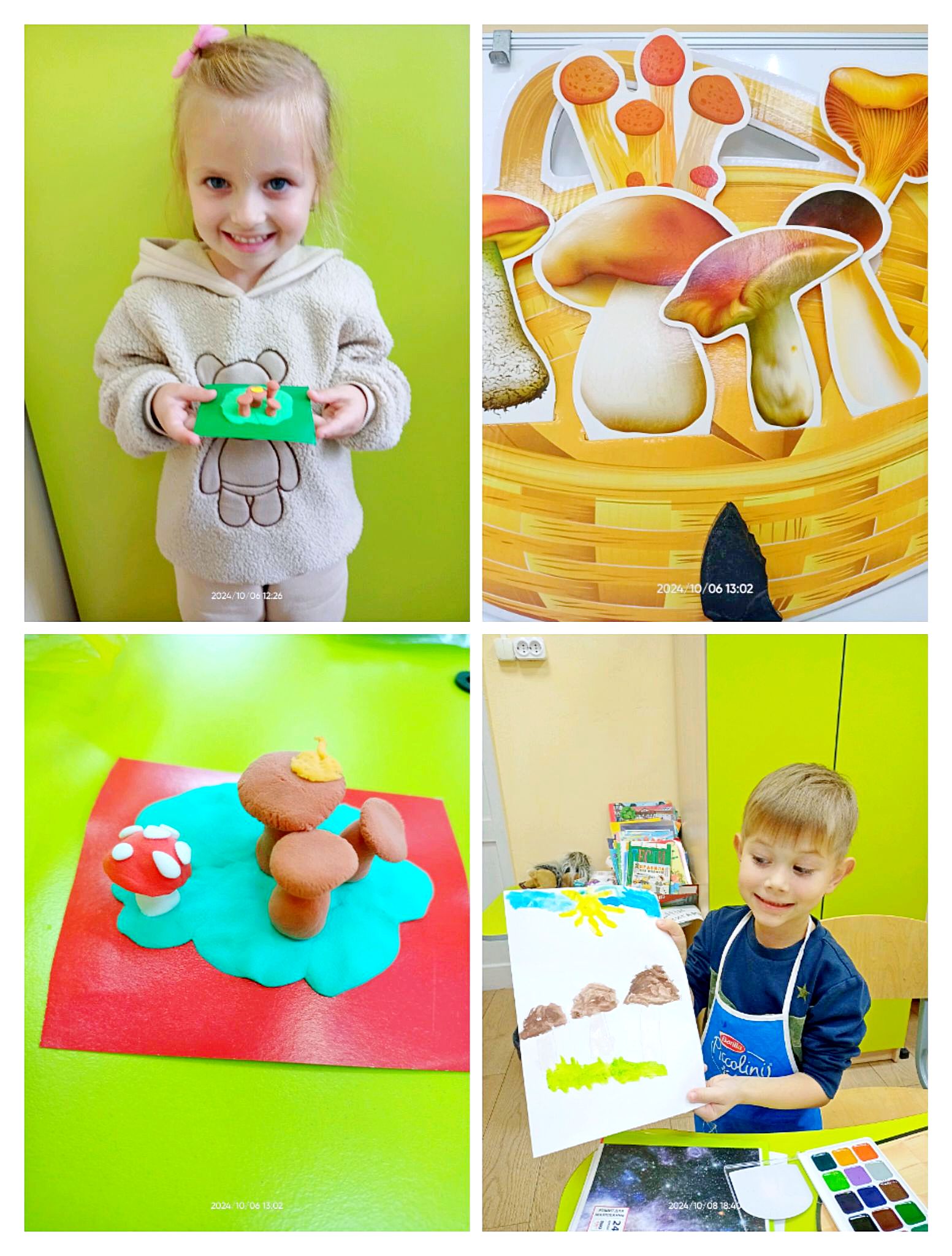 Такі різні грибочки 🍄 77 001 3